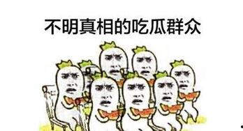 百度吃瓜群众,揭秘网络舆论场的众生相