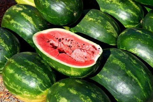 吃瓜广告视频大全,笑料百出，精彩纷呈！