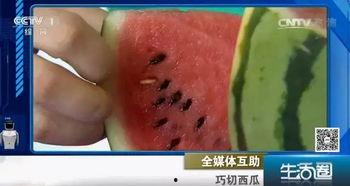 吃籽不吐瓜,揭秘瓜果种植的奇妙奥秘