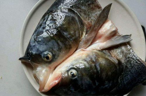 野生鱼头怪带你吃瓜,野生鱼头怪带你探索神秘瓜界之旅