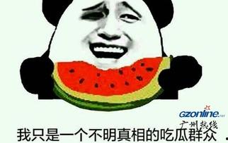 吃瓜出自,吃瓜群众视角下的娱乐圈风云