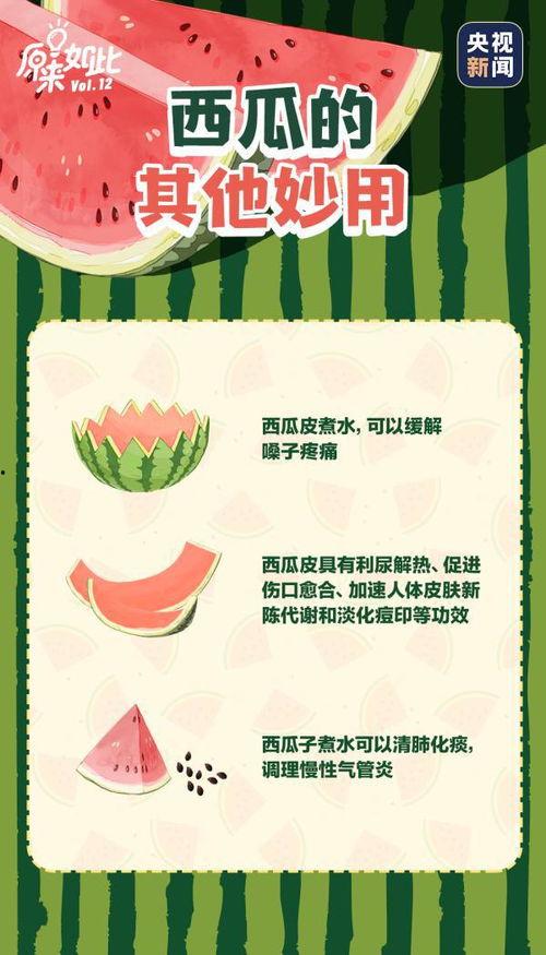 在线吃瓜全文阅读,揭秘网络舆论场的狂欢与真相