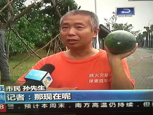 热门事件吃瓜网站链接,跟随吃瓜网站一探究竟