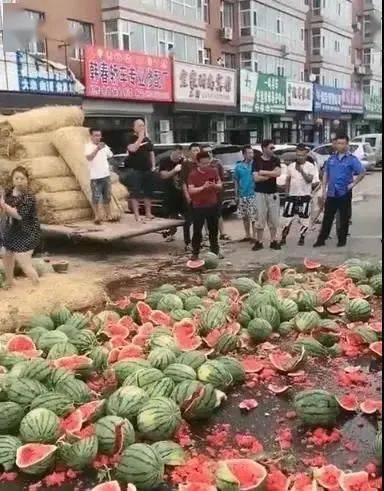 唐山滦南吃瓜事件,一场网络热议背后的真相与反思