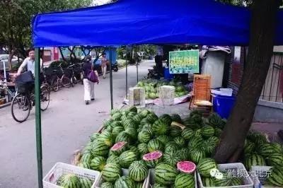 吃瓜协会主市,揭秘瓜界风云，品味生活百态