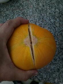 缴瓜怎么吃,解锁瓜果新吃法