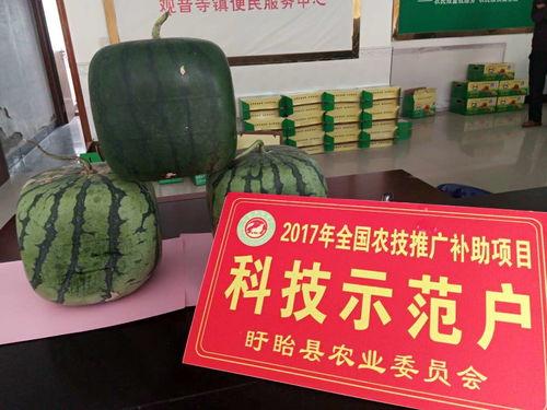 佛瓜凉拌怎么吃,佛瓜凉拌，简单美味家常菜