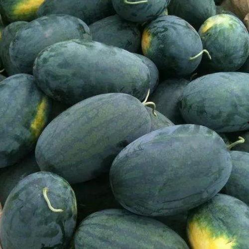 邢台沙河新吃瓜,探寻邢台沙河特色瓜果美食之旅