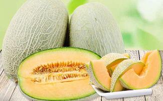 吃蜜瓜容易嗓子痒,蜜瓜诱人却嗓子痒？揭秘夏日消暑美食的“甜蜜陷阱”