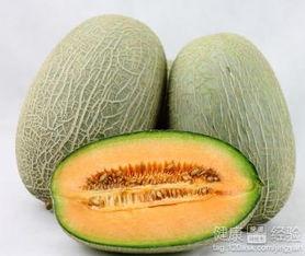 蝴蝶吃哈密瓜,哈密瓜香满园