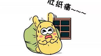 带你吃瓜做梦,品尝瓜界盛宴