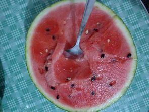 晋城红薯老公吃瓜