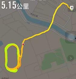 吃瓜群众号大全,吃瓜群众号大全，带你领略网络舆论新风向