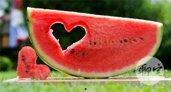 给朋友分享吃瓜,一起吃瓜解暑，分享快乐时光