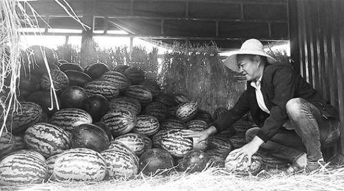 吃瓜群众张大炮,揭秘娱乐圈幕后风云