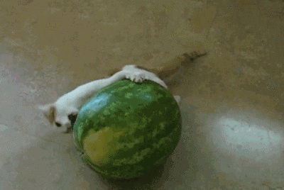 国外人吃瓜视频,揭秘国外网友的娱乐狂欢