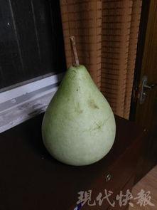 盐城女吃瓜,揭秘网络舆论背后的真相与反思