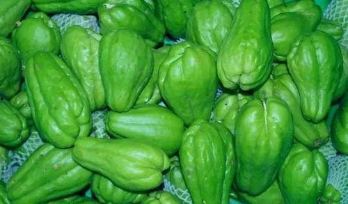 智慧吃瓜视频素材,揭秘短视频背后的趣味与智慧