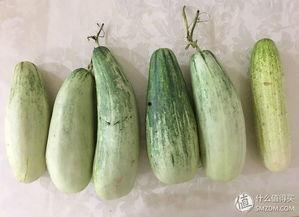 吃瓜的真实经历,一场娱乐圈风云的幕后真相