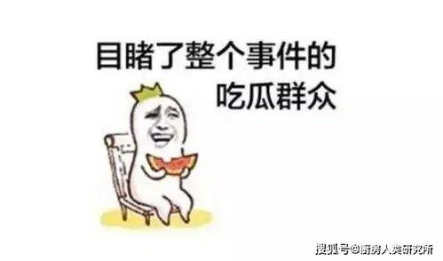 带你每日吃瓜,揭秘娱乐圈最新“吃瓜”事件