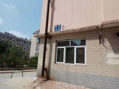 庄河光明小区吃瓜,吃瓜群众见证邻里和谐生活